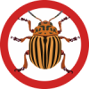 bug
